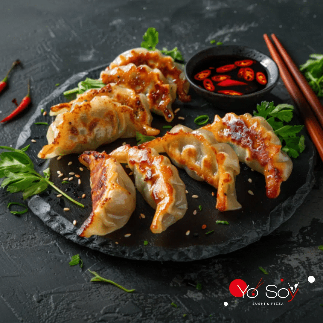 Sn2 Ravioli Gyoza con pollo