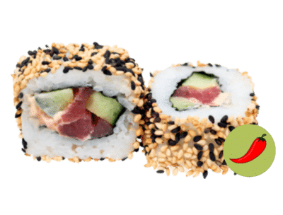 U13 Karai maguro